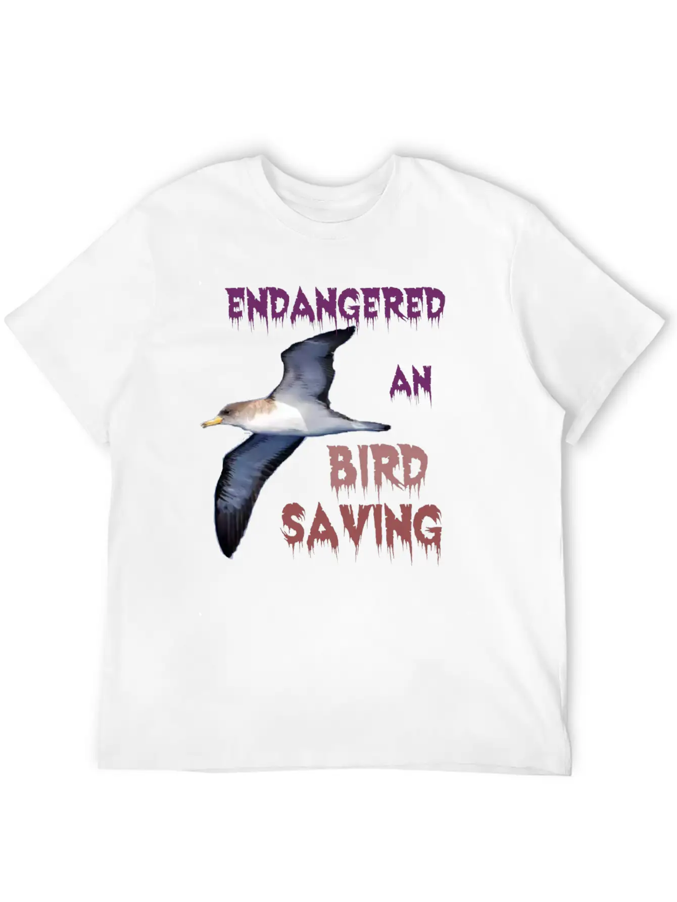 1590054637029 An Endangred Bird Comfortable Minimalist Graphic Tee – Summer Style Essential