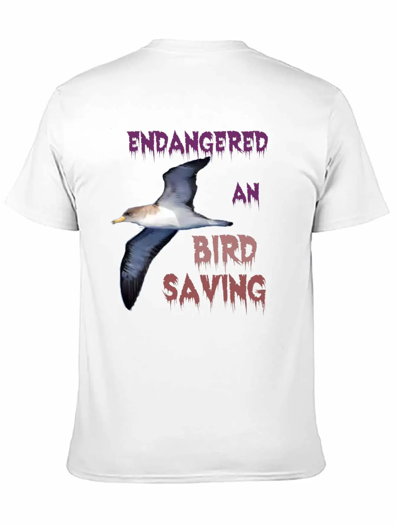 1590054637029 An Endangred Bird Comfortable Minimalist Graphic Tee – Summer Style Essential