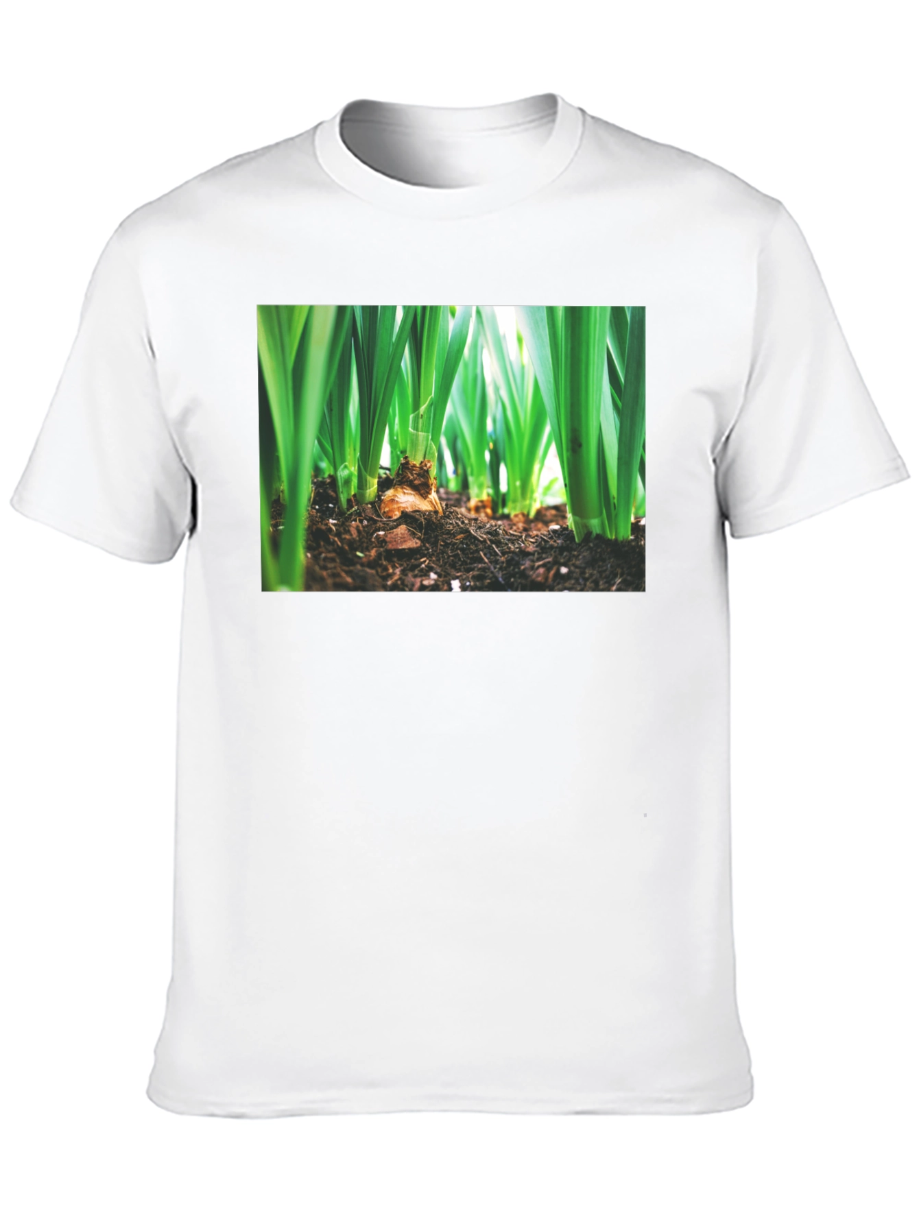 Natures Growth Tee - Black Cotton Bulb Design