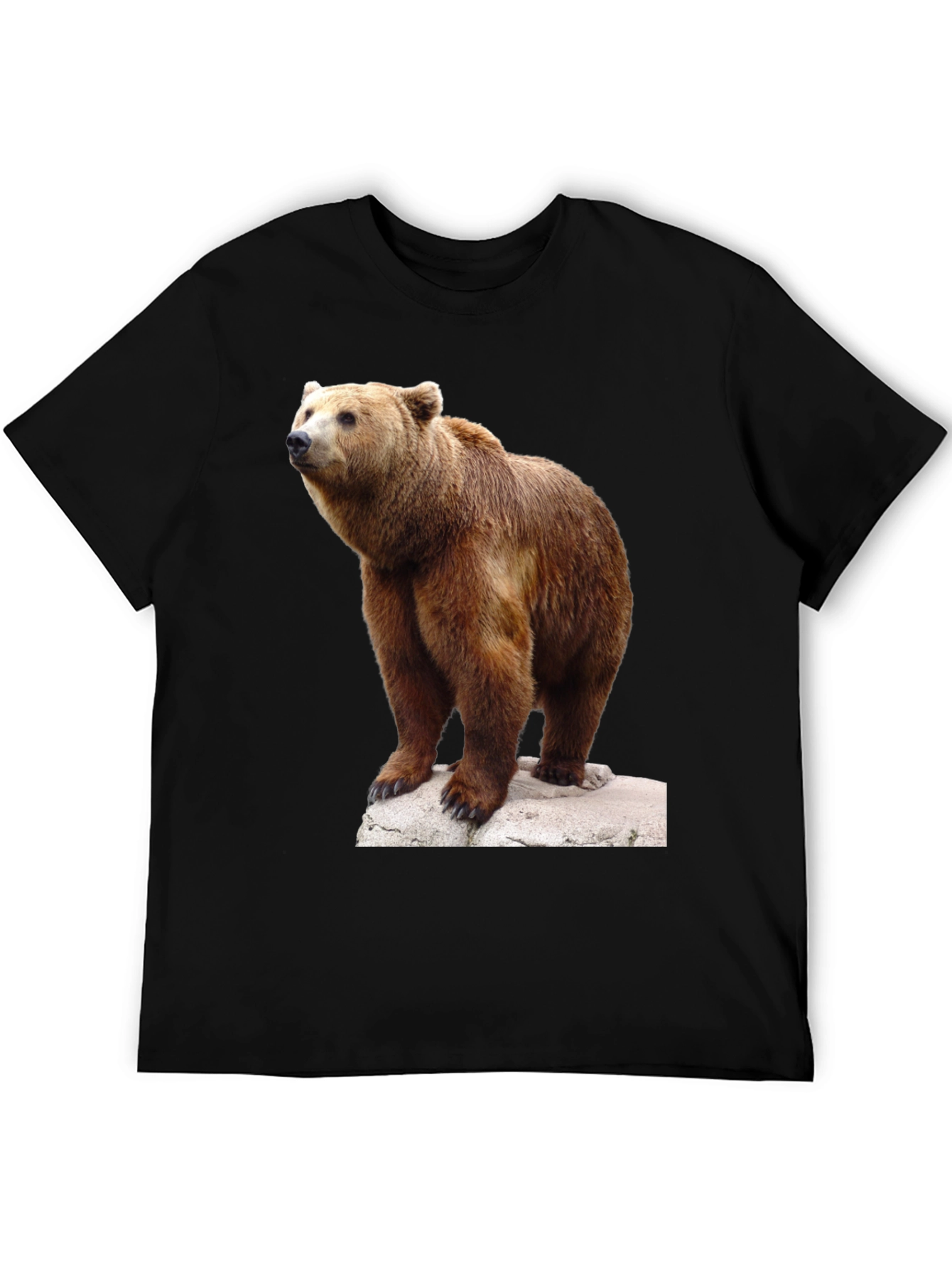 Bear Graphic Tee - Wildlife Animal T-Shirt