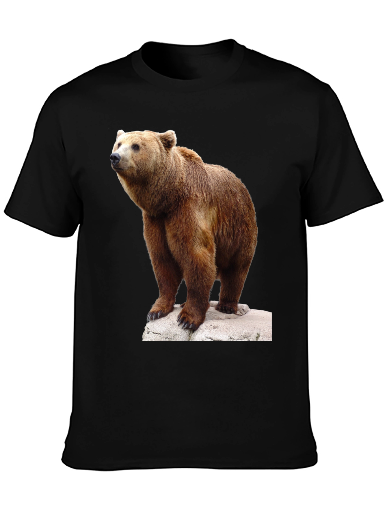 Bear Graphic Tee - Wildlife Animal T-Shirt