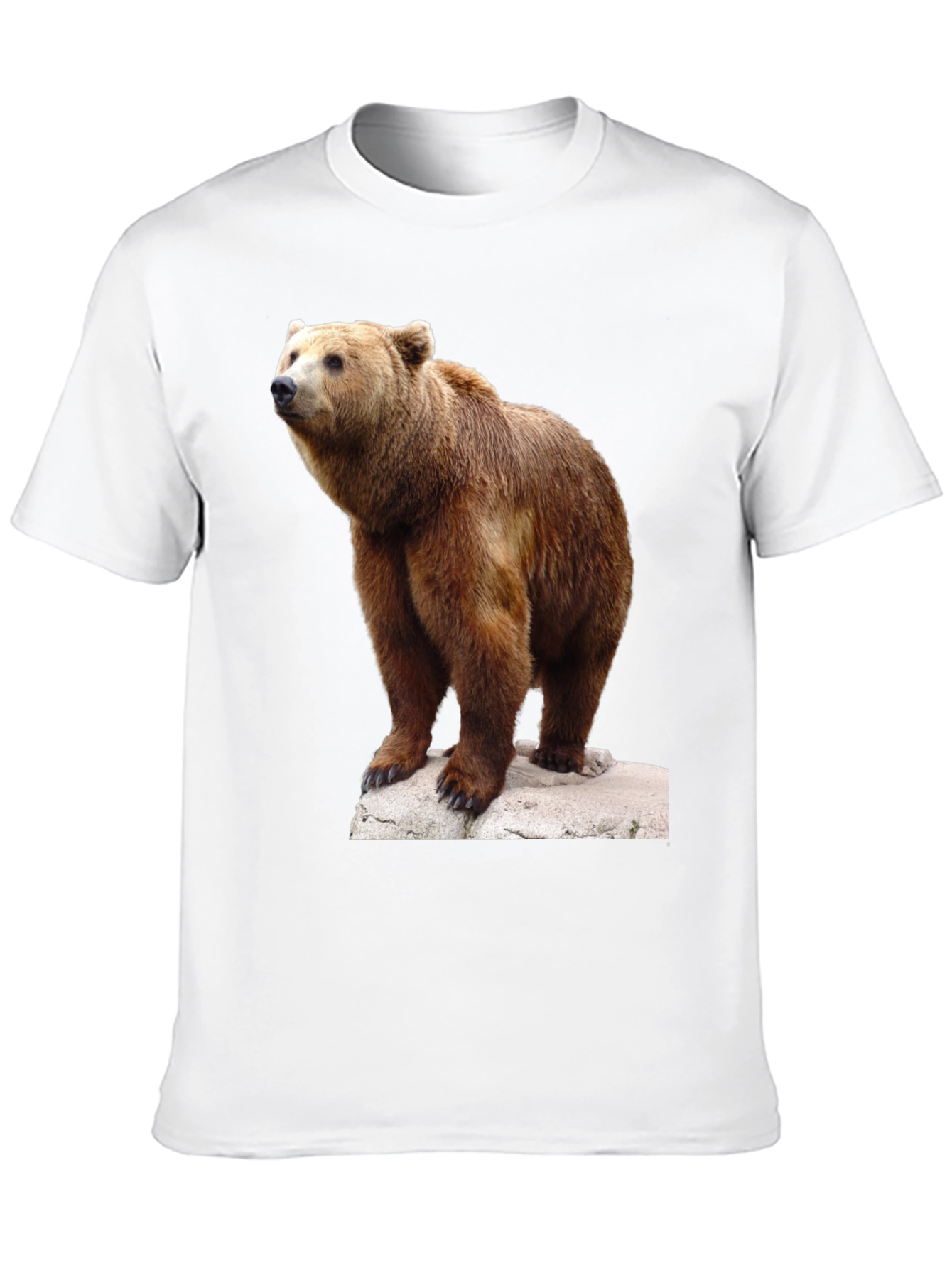 Bear Graphic Tee - Wildlife Animal T-Shirt