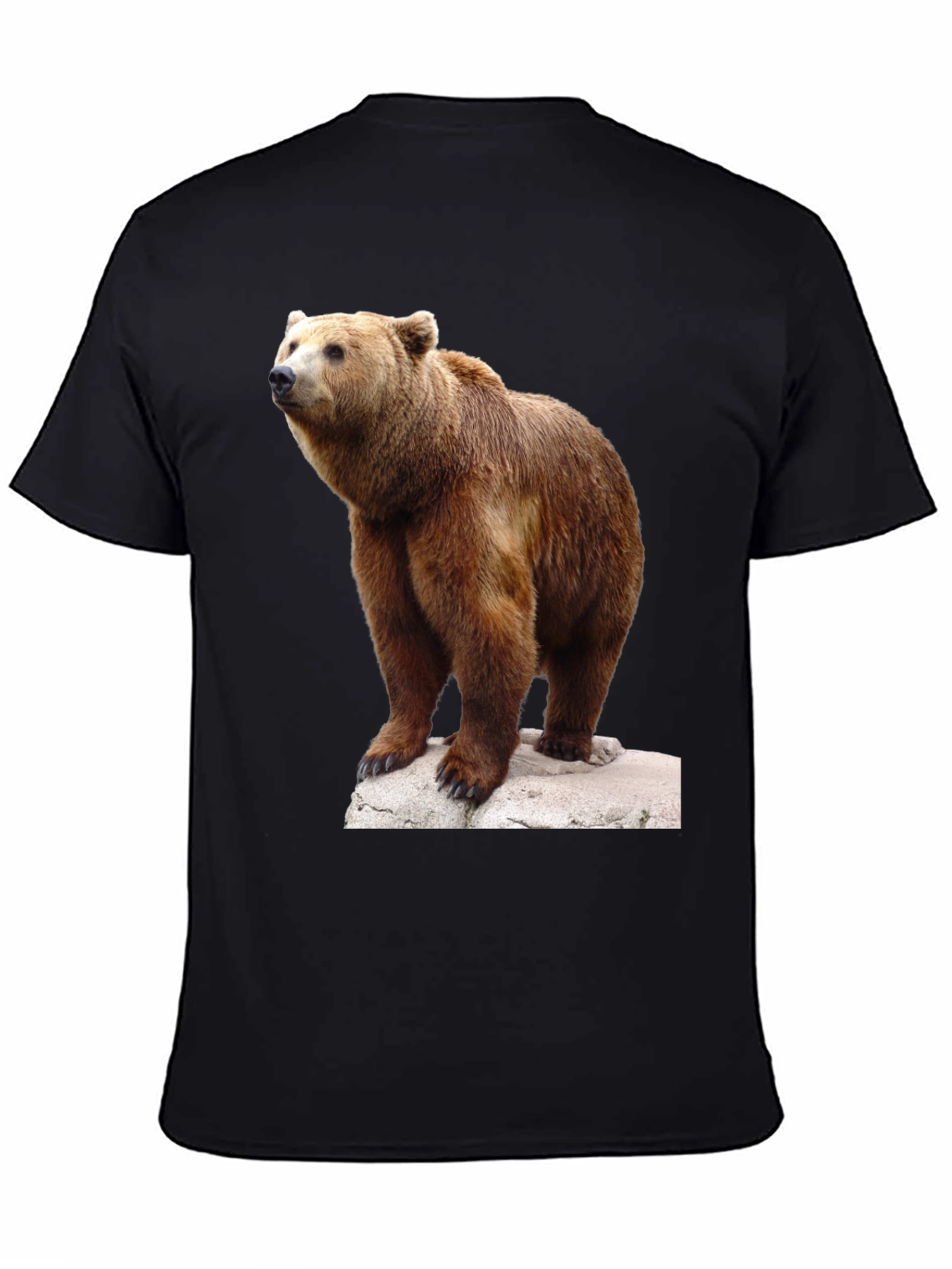 Bear Graphic Tee - Wildlife Animal T-Shirt