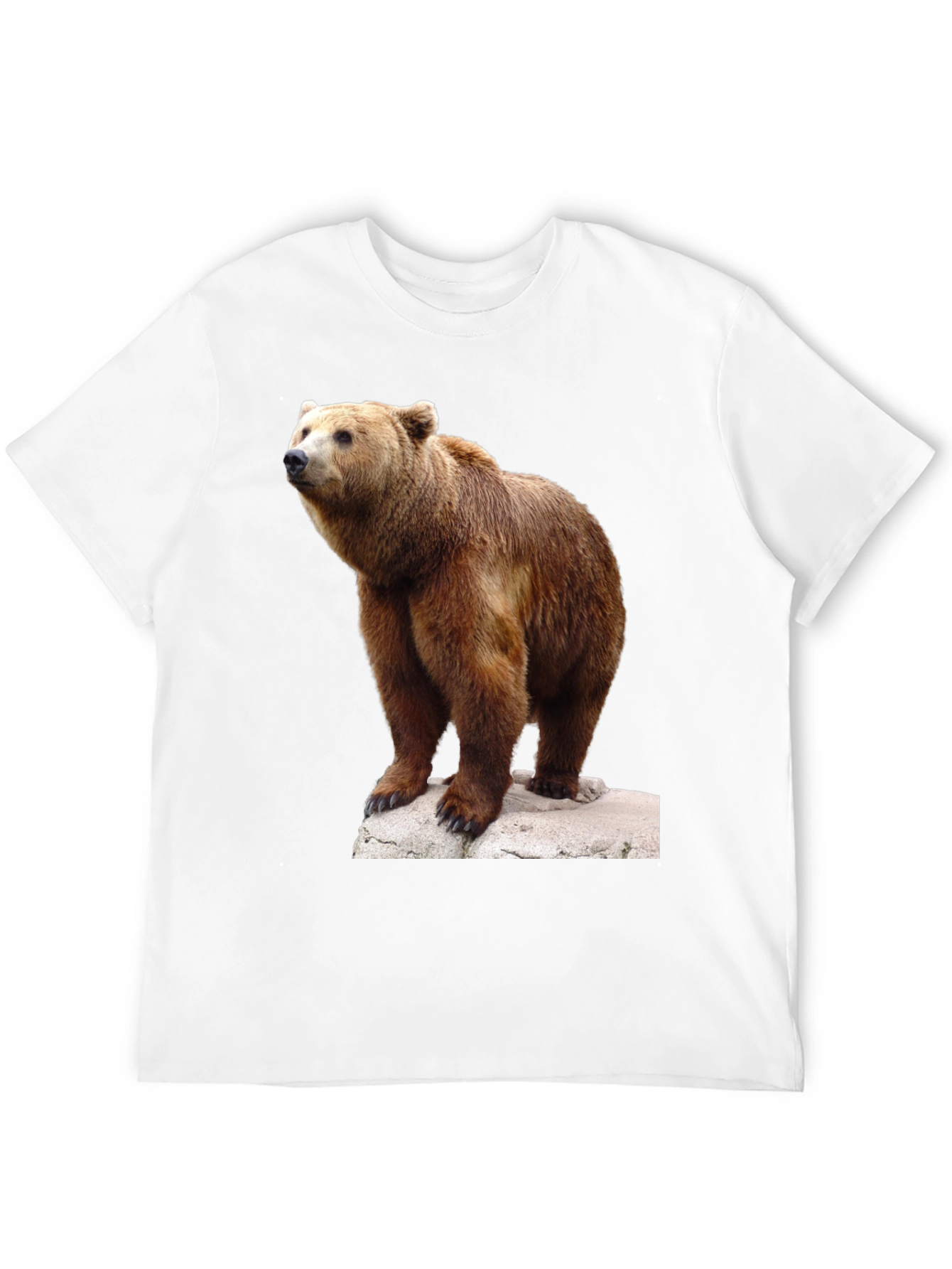 Bear Graphic Tee - Wildlife Animal T-Shirt