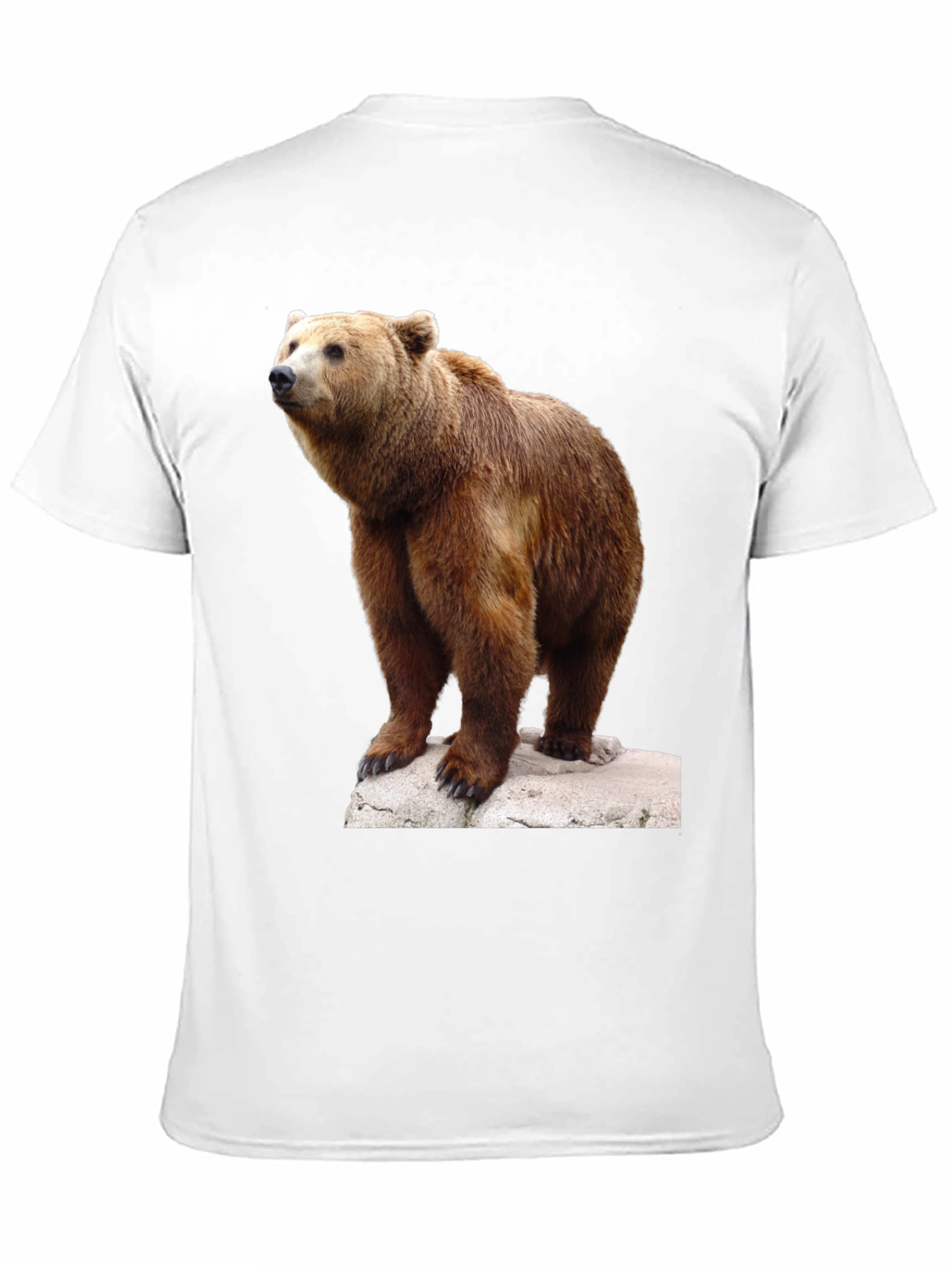 Bear Graphic Tee - Wildlife Animal T-Shirt