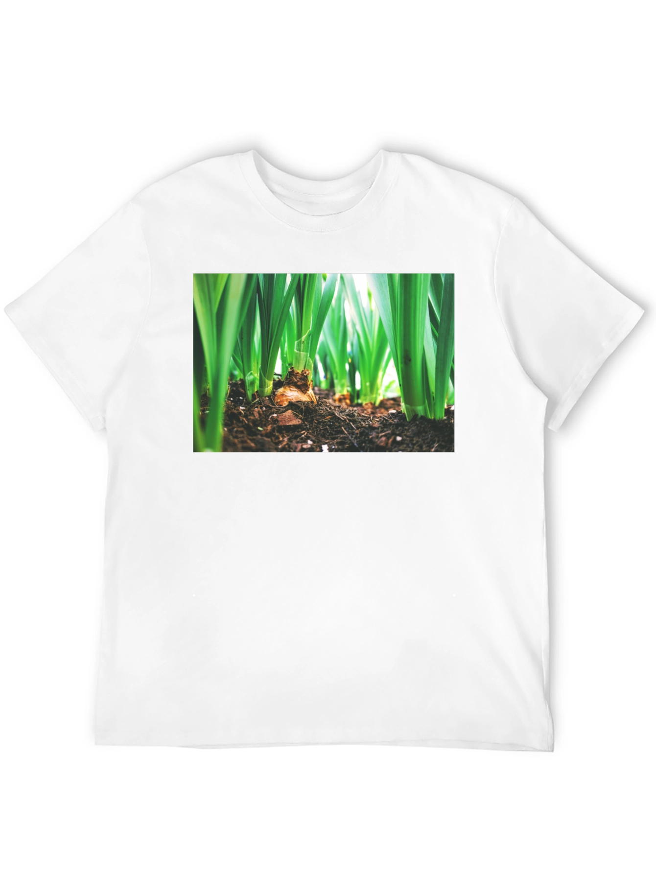 Natures Growth Tee - Black Cotton Bulb Design