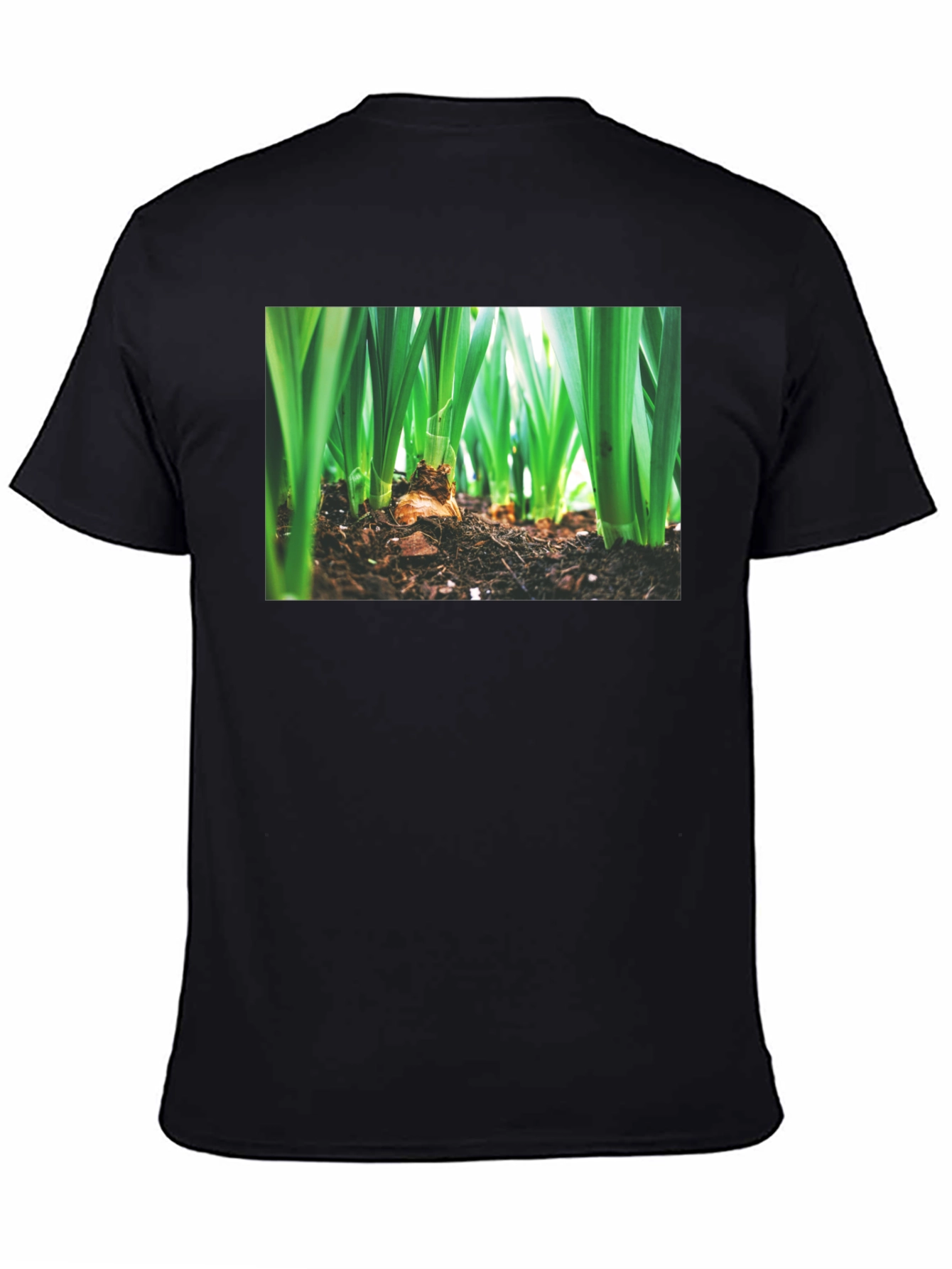Natures Growth Tee - Black Cotton Bulb Design