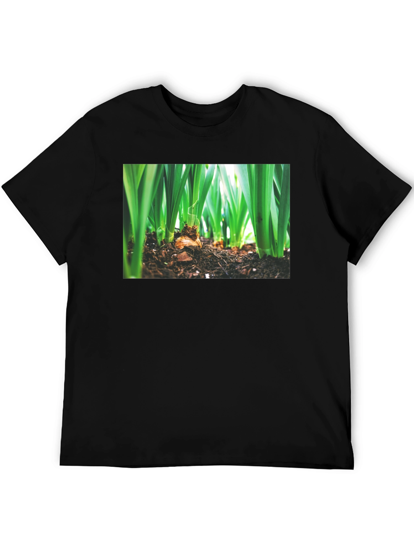 Natures Growth Tee - Black Cotton Bulb Design