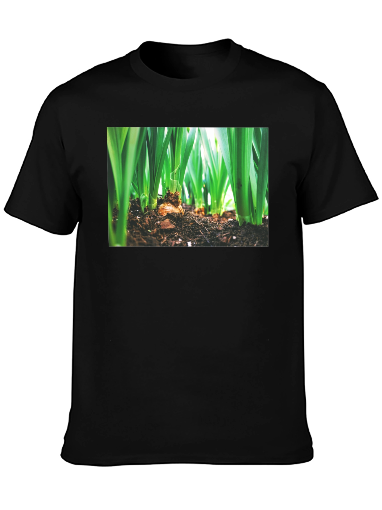 Natures Growth Tee - Black Cotton Bulb Design