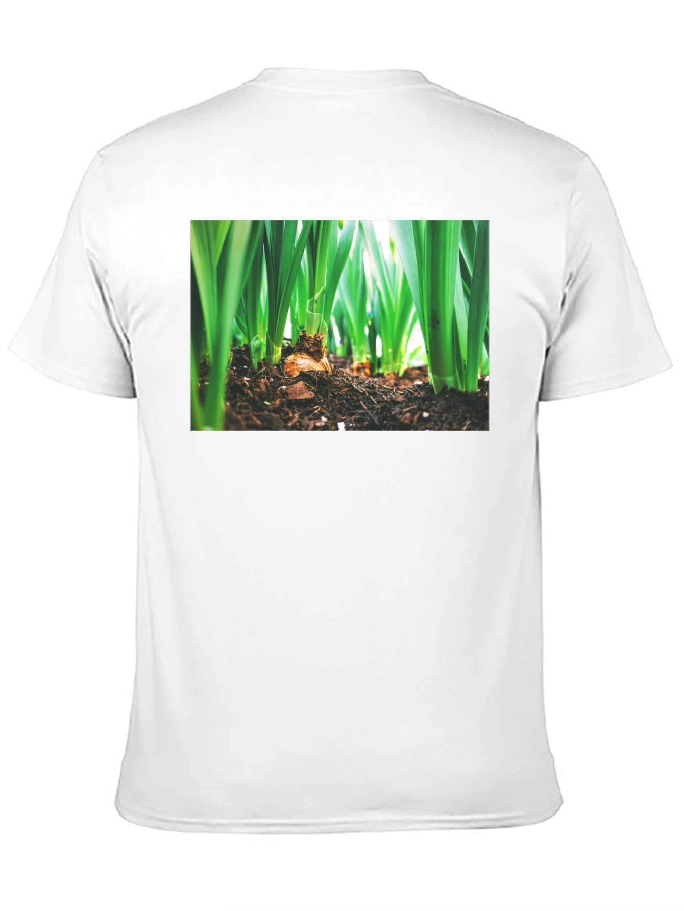 Natures Growth Tee - Black Cotton Bulb Design